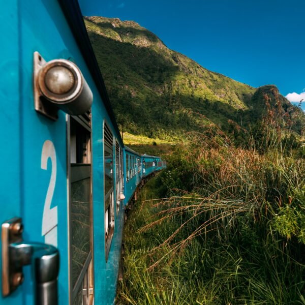 Blue Sri Lankan Train goes through jungles, trees, wood, mountains. Famous blue train in Sri Lanka