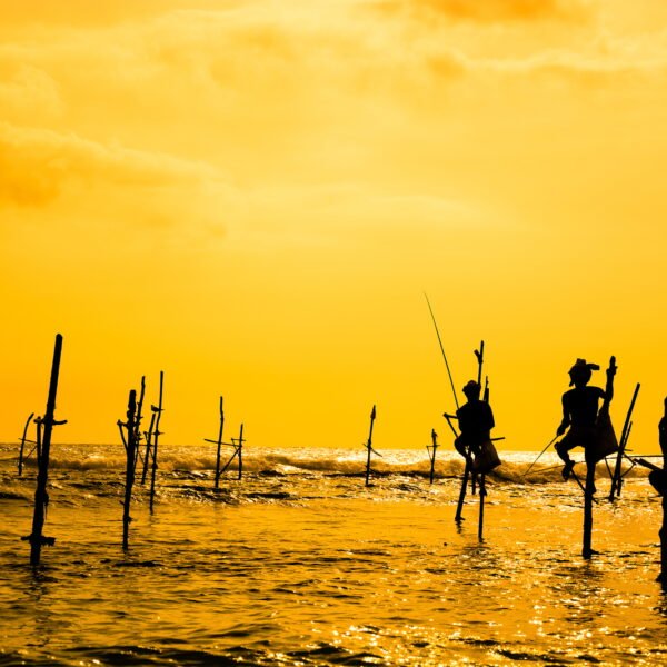 Traditional stilt fisherman in Sri Lanka